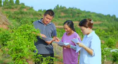 張升平：從清華學(xué)子到鄉(xiāng)村農(nóng)技專(zhuān)家
