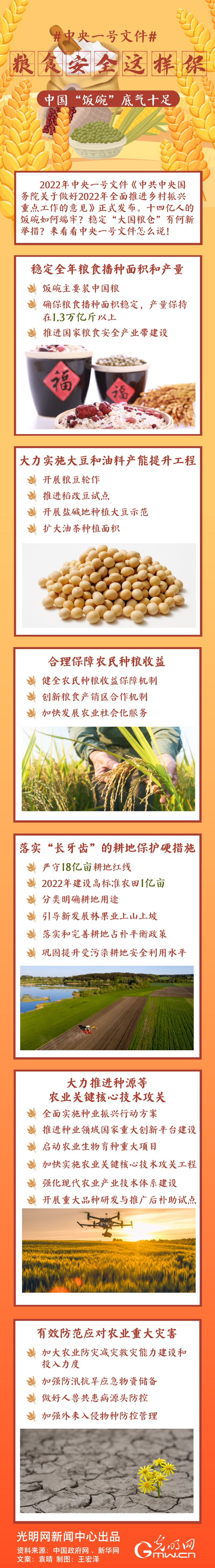 中央一號文件｜糧食安全這樣保，中國“飯碗”底氣十足