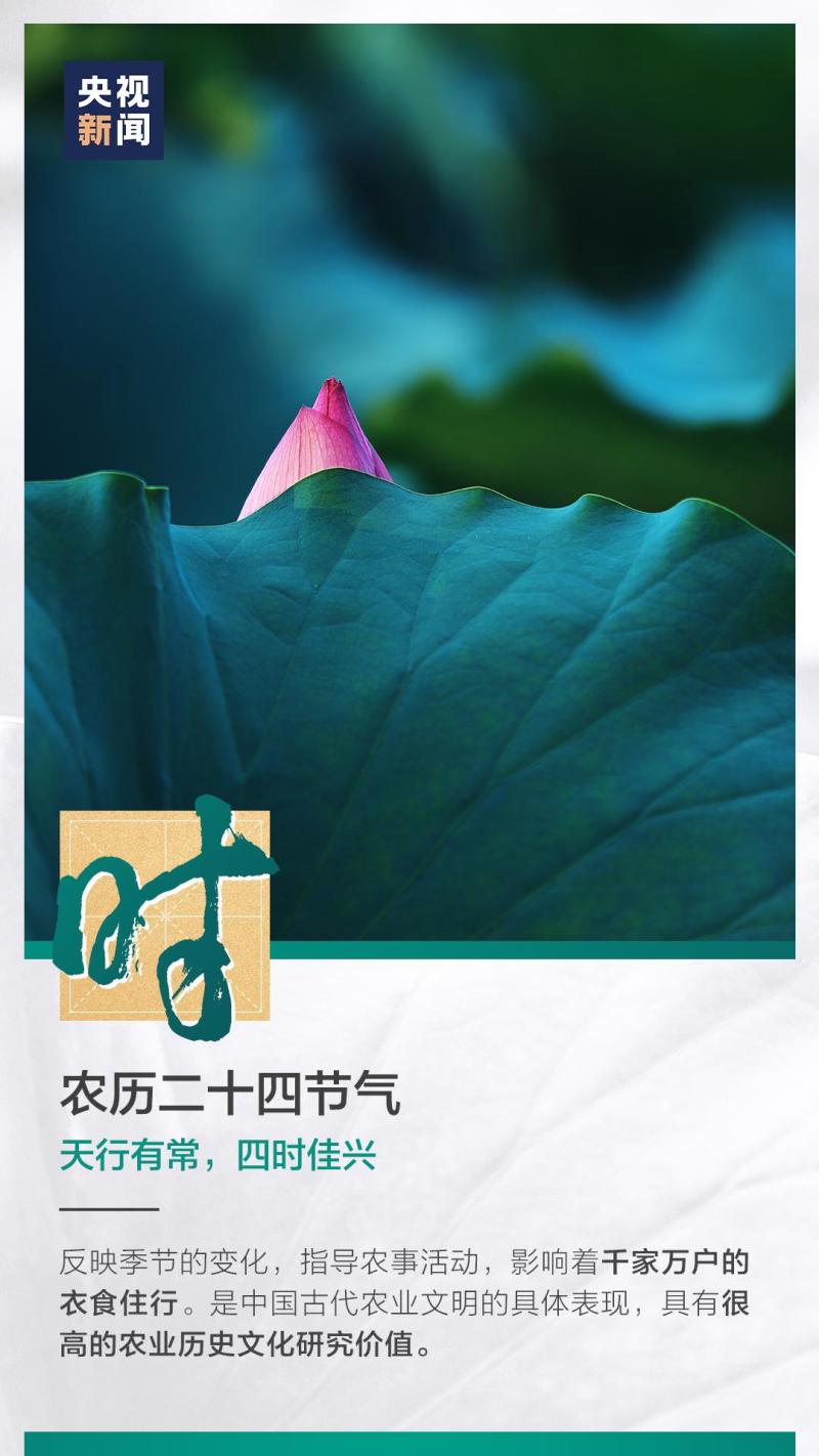 這也太浪漫了吧！