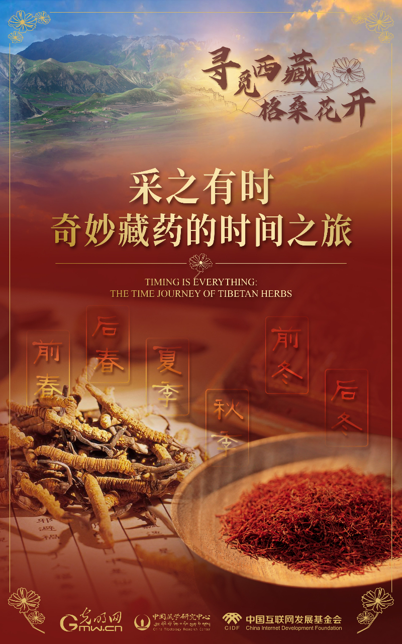 【尋覓西藏·格?；ㄩ_】采之有時：奇妙藏藥的時間之旅
