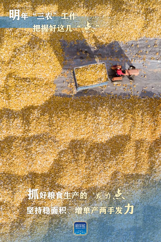 明年“三農(nóng)”工作，這幾個“點”要把握好