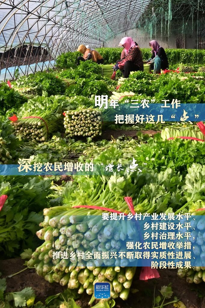 明年“三農(nóng)”工作，這幾個“點”要把握好