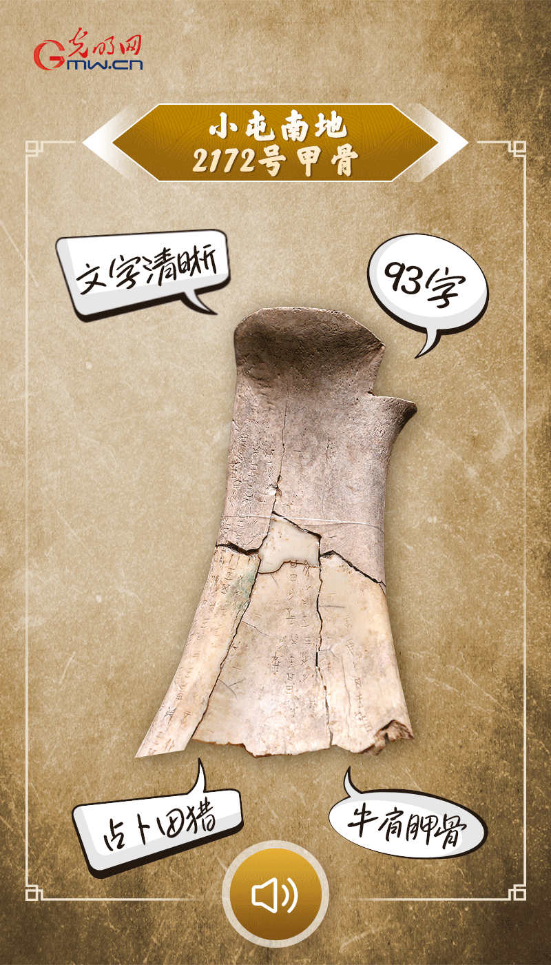 文物會(huì)說(shuō)話 | 殷墟博物館新館開(kāi)館啦，帶你奔赴“千年之約”