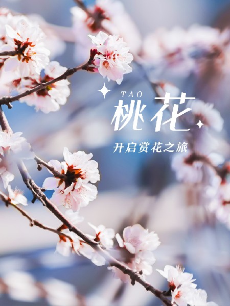 追花指南第三期！別等了 今天就去和桃花撞個滿懷