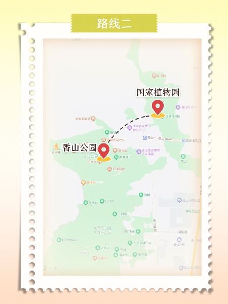 追花指南第六期！杏花雨 楊柳風(fēng) 北京最美的杏花在這里