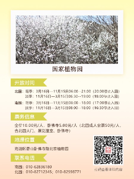 追花指南第六期！杏花雨 楊柳風(fēng) 北京最美的杏花在這里