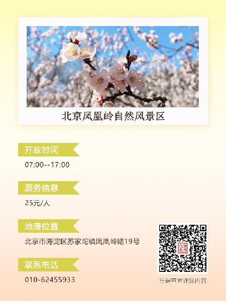 追花指南第六期！杏花雨 楊柳風(fēng) 北京最美的杏花在這里