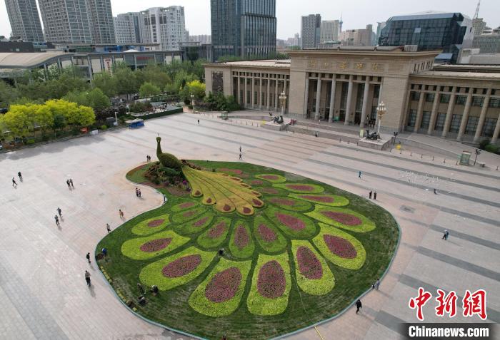 圖為航拍花壇。(無人機照片) 翟羽佳 攝