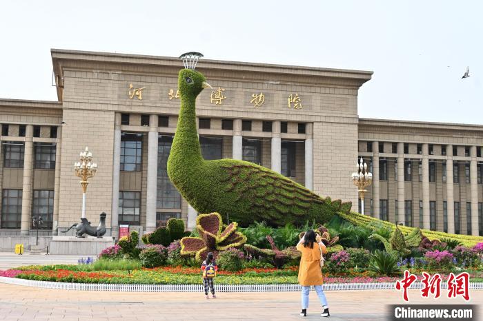 圖為游客在花壇前拍照打卡?！〉杂鸺?攝