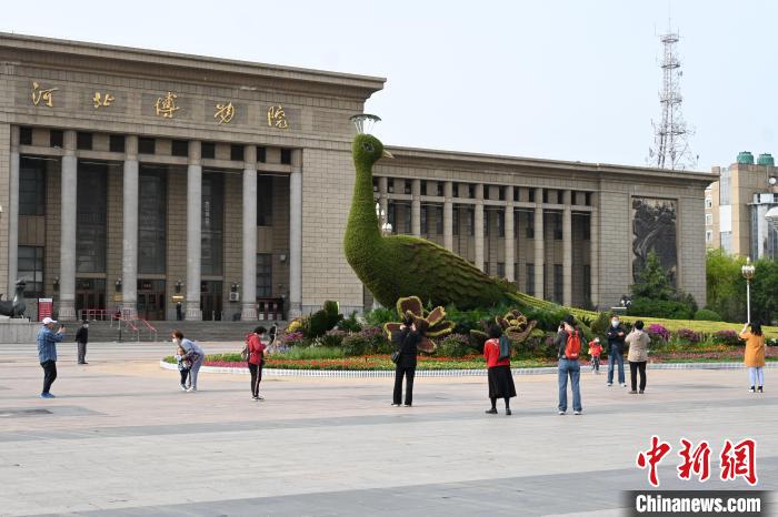 圖為游客在花壇前拍照打卡?！〉杂鸺?攝