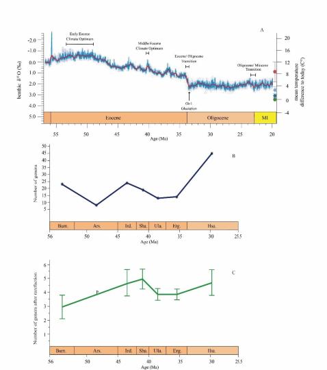 早始新世至早漸新世東亞嚙齒類屬級(jí)多樣性變化?！≈锌圃汗偶棺邓?供圖