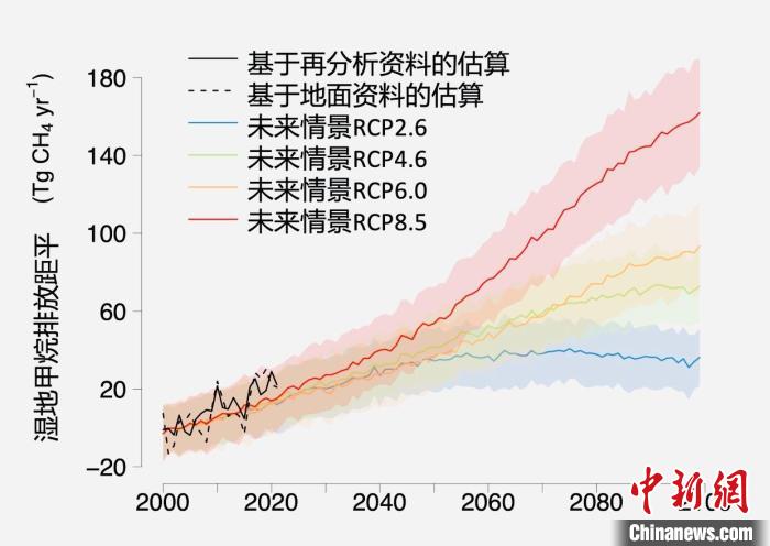 基于觀測的濕地甲烷排放變化與未來氣候變化情景下估算的對比?！≈锌圃呵嗖馗咴?供圖