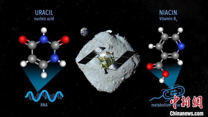 國際最新研究稱，近地小行星“龍宮”上發(fā)現(xiàn)尿嘧啶等核酸堿基