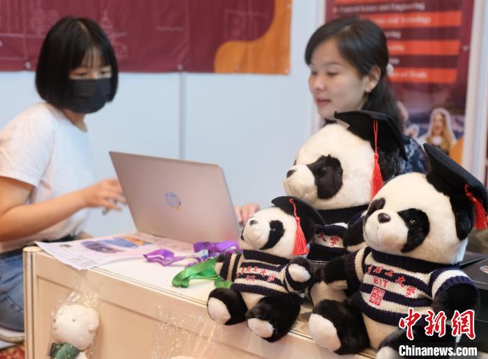 北京理工大學(xué)帶來可愛熊貓玩偶，頗為吸睛 陳悅 攝