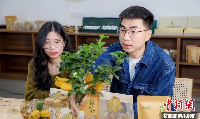 北山口村的佛手電商直播?！≈鬓k方供圖