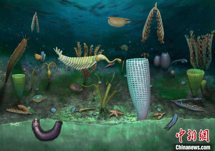 Castle Bank動(dòng)物群藝術(shù)復(fù)原圖(Yang Dinghua繪制)?！∈┢樟指瘛ぷ匀?供圖