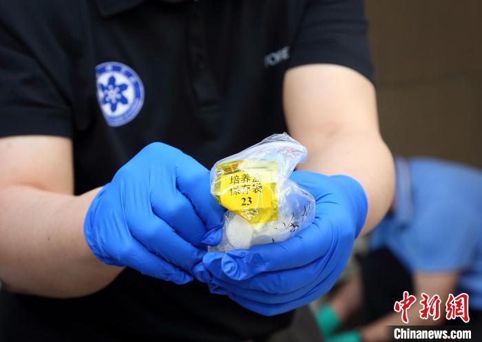 隨神舟十五號返回地面的空間科學實驗樣品?！≈锌圃嚎臻g應(yīng)用中心 供圖