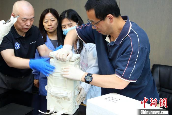 科研人員查看隨神舟十五號返回地面的空間科學實驗樣品?！≈锌圃嚎臻g應(yīng)用中心 供圖