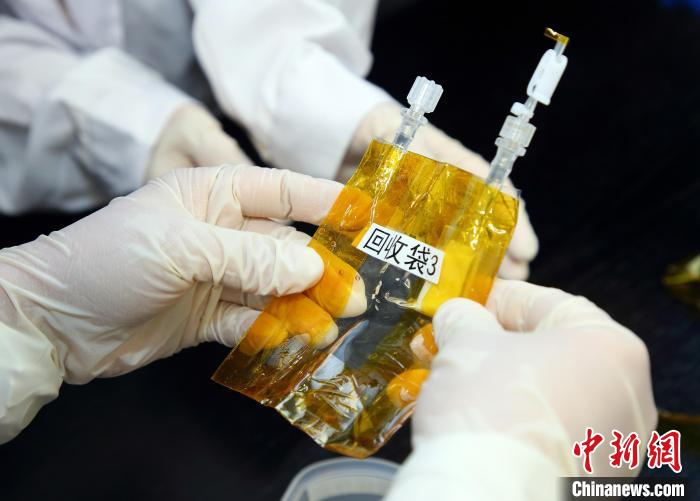 隨神舟十五號返回地面的空間科學實驗樣品?！≈锌圃嚎臻g應(yīng)用中心 供圖