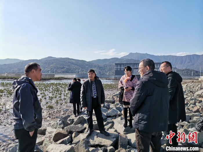 浙江海洋生態(tài)觀察：智慧大腦如何解鎖藍(lán)色發(fā)展密碼？