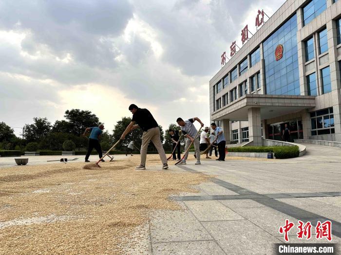 平原縣組織志愿者幫助農(nóng)民晾曬小麥?！垈?攝