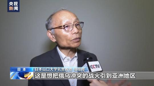 日本學(xué)者:日本不斷向北約靠攏 走上危險道路