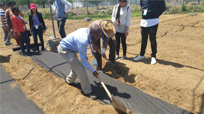 孫釗現(xiàn)場指導農(nóng)民耕種。受訪者供圖