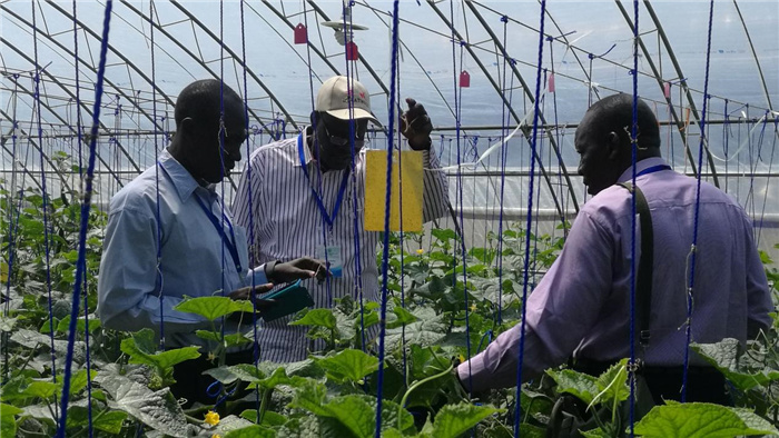 孫釗向當?shù)剞r(nóng)戶講解粘蟲板工作原理。受訪者供圖