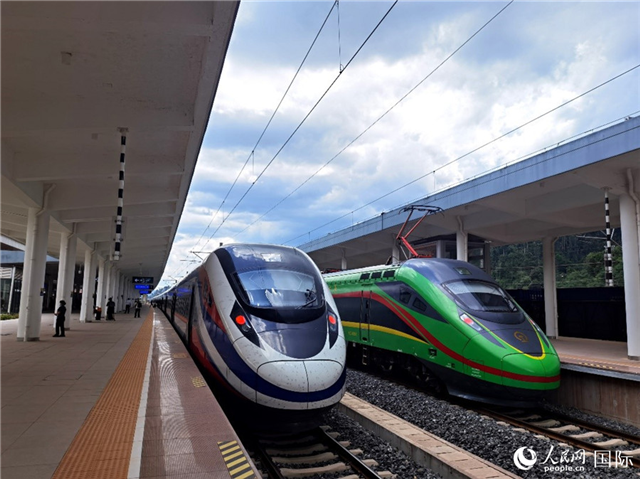 “復興號”和“瀾滄號”國際旅客列車?？吭诶蠐肽ザ≌?。人民網(wǎng) 杜明明攝
