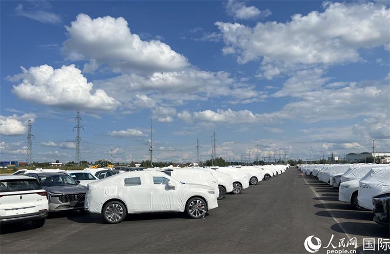 莫斯科別雷拉斯特物流中心內(nèi)的中國品牌汽車。人民網(wǎng)記者 申佳平攝