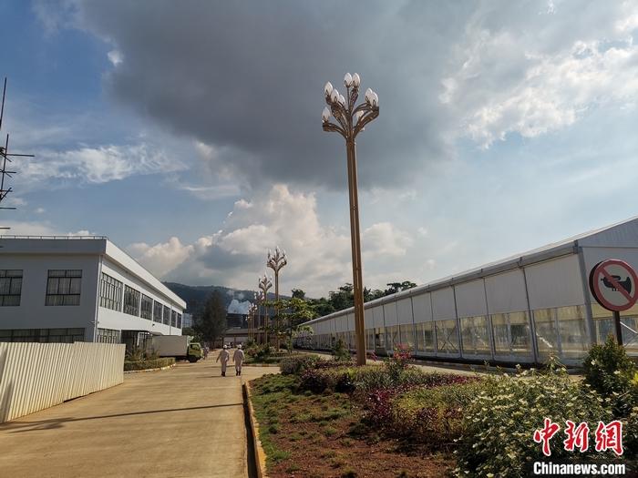 圖為園區(qū)生活區(qū)。 受訪者供圖