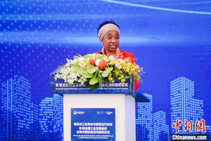 聯(lián)合國工業(yè)發(fā)展組織總干事代表兼執(zhí)行干事法圖 海達拉致辭。