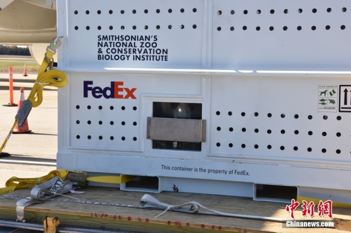 當(dāng)?shù)貢r(shí)間11月8日，美國(guó)華盛頓史密森學(xué)會(huì)國(guó)家動(dòng)物園的大熊貓“美香”“添添”和它們的幼崽“小奇跡”乘坐的專機(jī)從華盛頓杜勒斯國(guó)際機(jī)場(chǎng)起飛前往中國(guó)成都。圖為裝有大熊貓的特制“旅行箱”。<a target='_blank' href='/'><p  align=