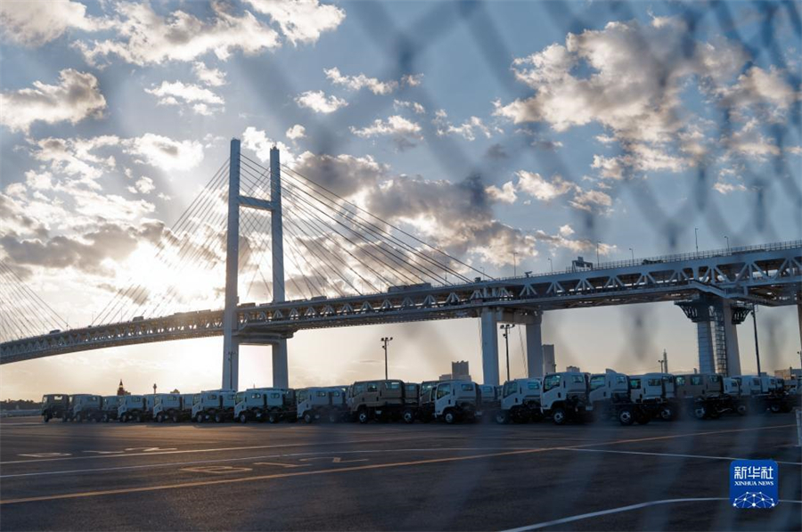 這是11月14日在日本橫濱拍攝的進出口汽車集散場地。新華社記者 張笑宇 攝