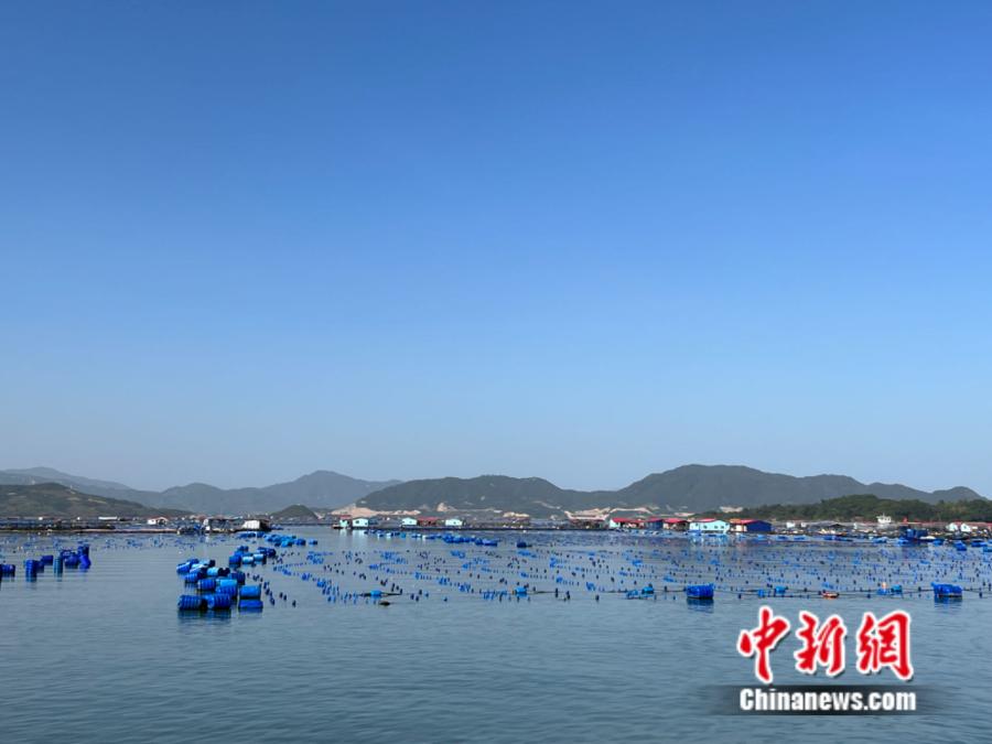 霞浦縣海上魚(yú)排。<a target='_blank' href='/' ><p  align=