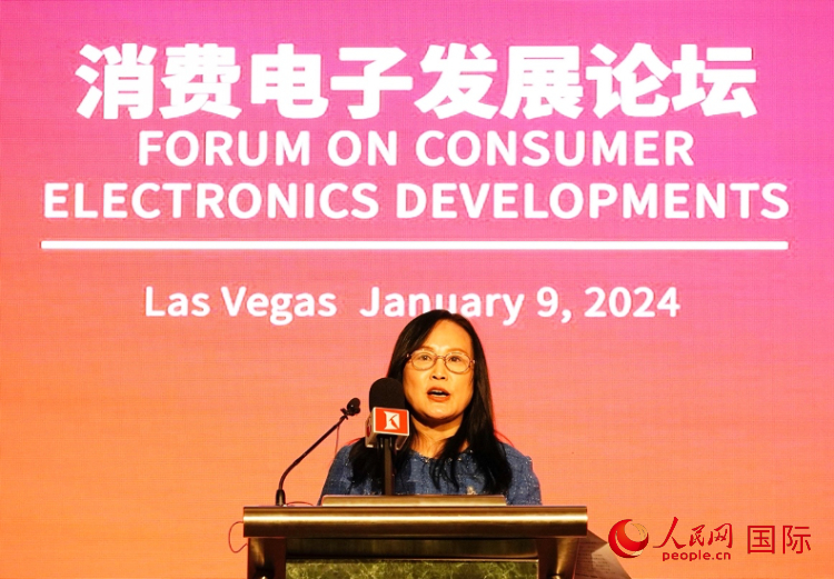 中國(guó)機(jī)電產(chǎn)品進(jìn)出口商會(huì)副會(huì)長(zhǎng)劉春致辭。人民網(wǎng)記者 鄧圩攝