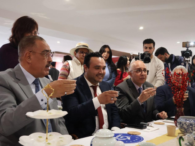 觀眾興致勃勃地體驗(yàn)茶藝。陳芷珊攝