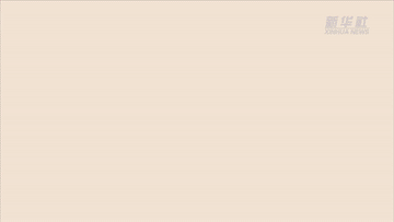 數(shù)讀兩會(huì)|聚焦“國(guó)家賬本”帶你了解財(cái)政資金怎么花