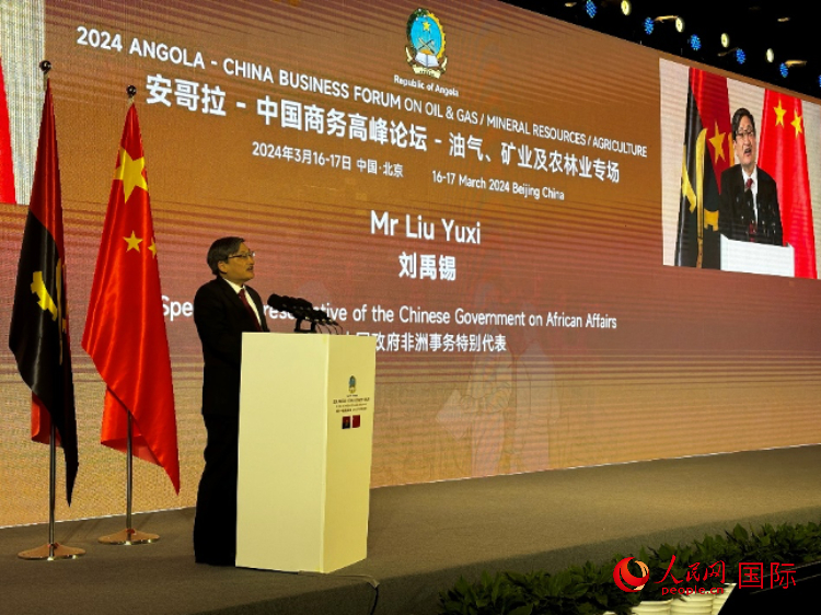 中國政府非洲事務(wù)特別代表劉禹錫。人民網(wǎng)記者 張榮攝