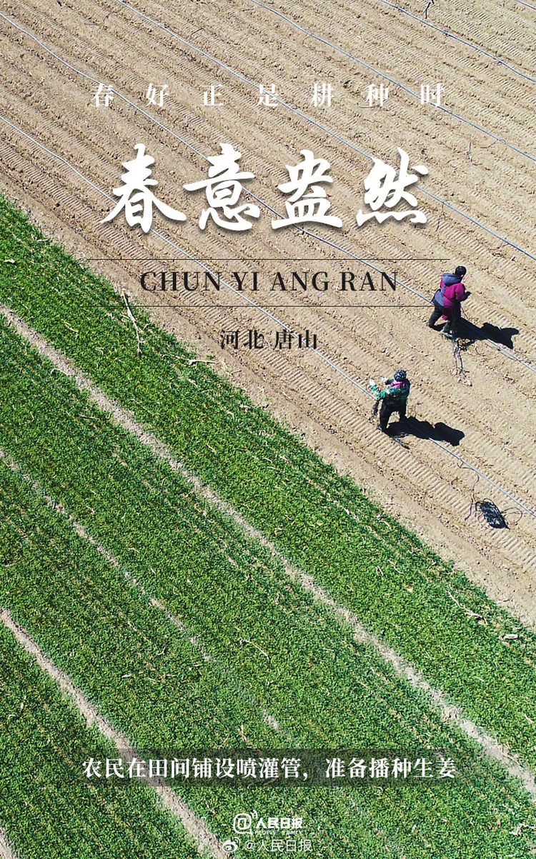 生機(jī)盎然！用課本封面打開(kāi)春耕畫(huà)卷