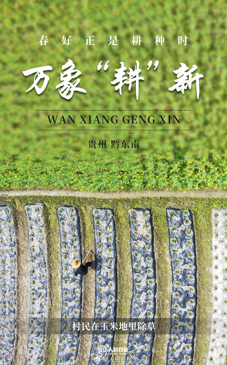 生機(jī)盎然！用課本封面打開(kāi)春耕畫(huà)卷