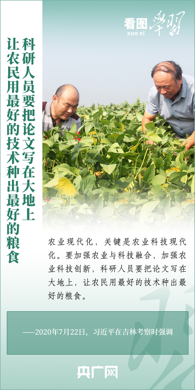 看圖學(xué)習(xí)丨推廣良田、良種、良法、良機 給農(nóng)業(yè)現(xiàn)代化插上科技的翅膀