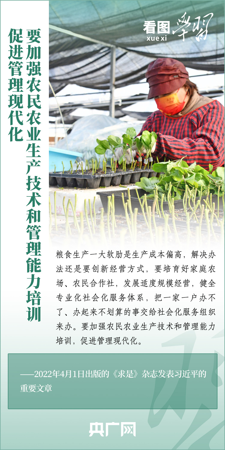 看圖學(xué)習(xí)丨推廣良田、良種、良法、良機 給農(nóng)業(yè)現(xiàn)代化插上科技的翅膀