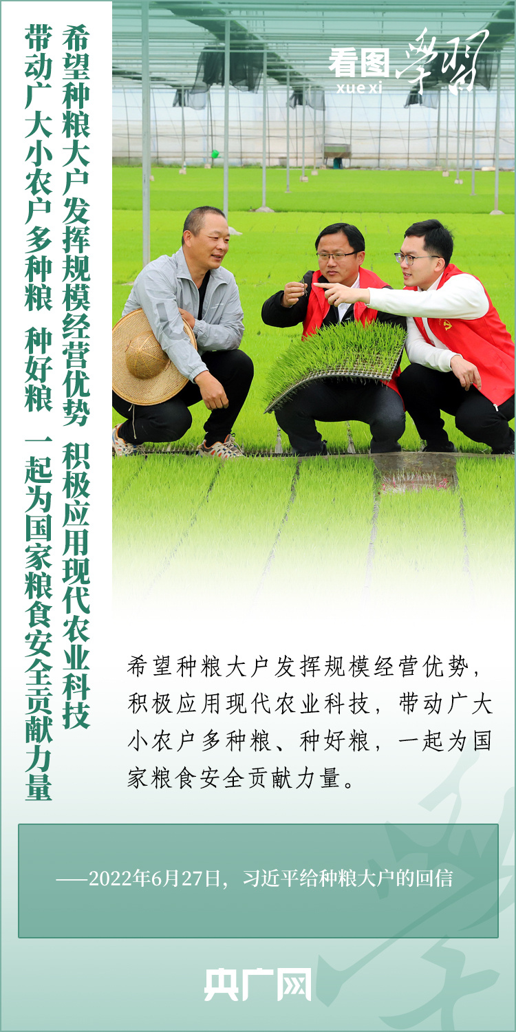 看圖學(xué)習(xí)丨推廣良田、良種、良法、良機 給農(nóng)業(yè)現(xiàn)代化插上科技的翅膀