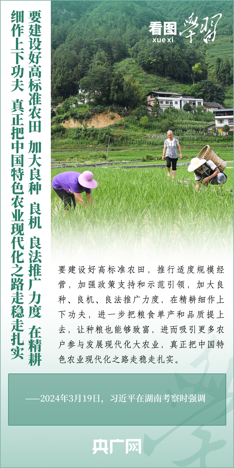 看圖學(xué)習(xí)丨推廣良田、良種、良法、良機 給農(nóng)業(yè)現(xiàn)代化插上科技的翅膀