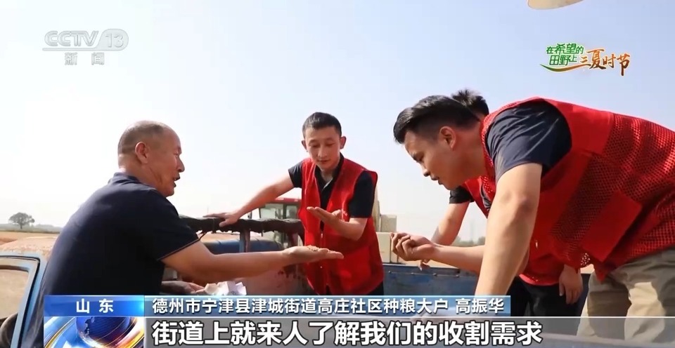 “三夏”生產(chǎn)思維導圖安排上了！還有政府大院等你來“曬”