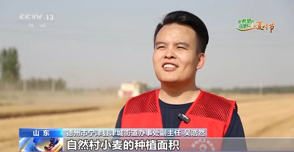 “三夏”生產(chǎn)思維導圖安排上了！還有政府大院等你來“曬”