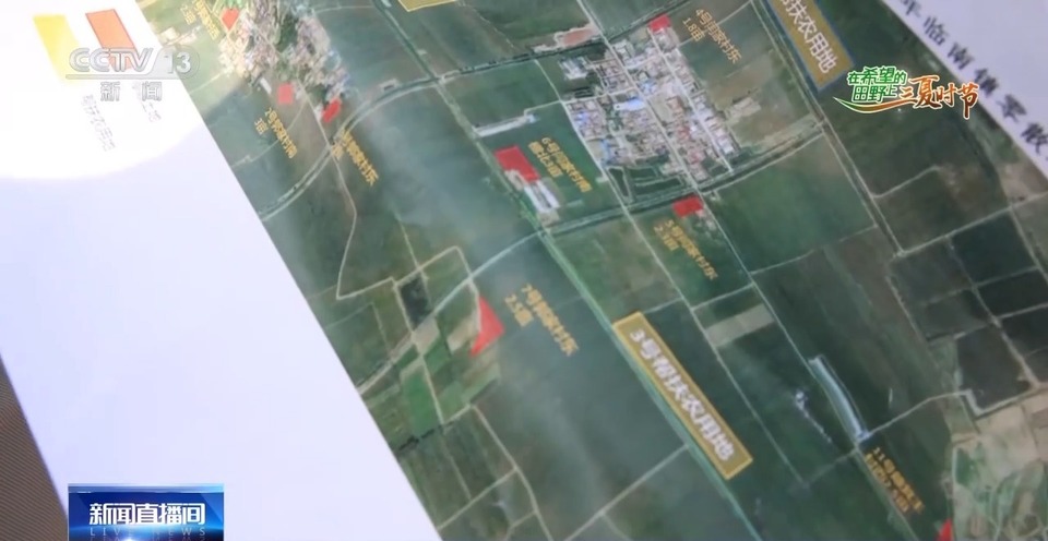 “三夏”生產(chǎn)思維導圖安排上了！還有政府大院等你來“曬”