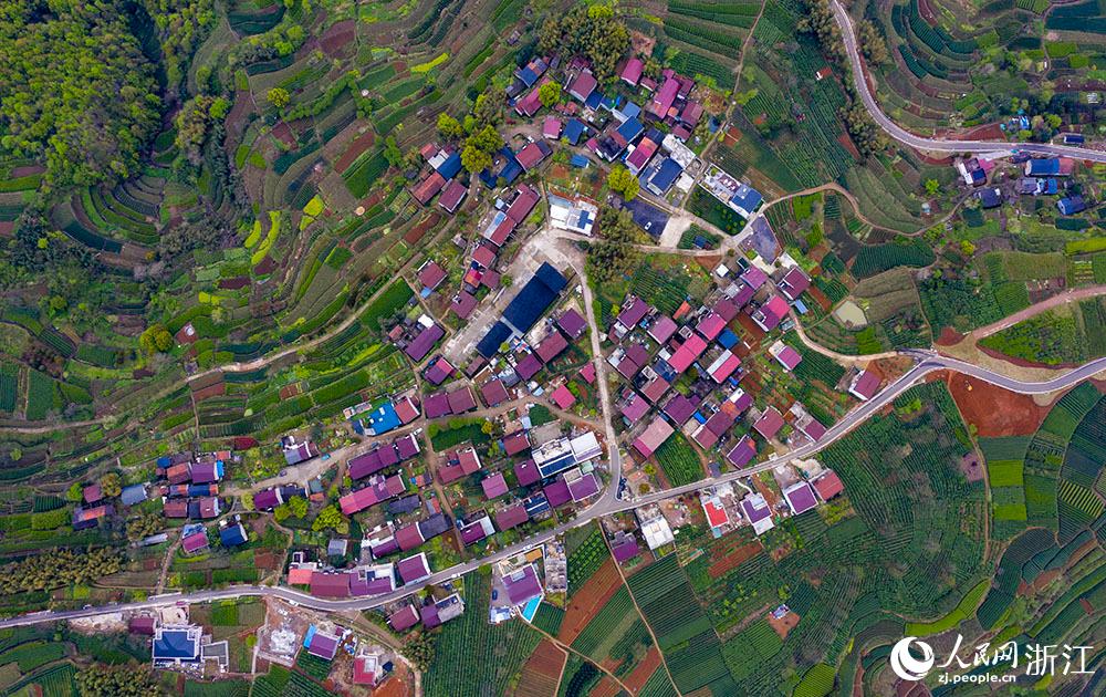 4月1日，紹興市新昌縣東茗鄉(xiāng)下巖貝村風(fēng)光秀麗，茶園旖旎。人民網(wǎng) 章勇濤攝