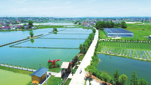 近年來，大成橋鎮(zhèn)堅持加強黨對鄉(xiāng)村治理的集中統(tǒng)一領(lǐng)導，該鎮(zhèn)鄉(xiāng)村治理模式入選第二批全國鄉(xiāng)村治理典型案例。圖為美麗的大成橋鎮(zhèn)。（資料圖片）